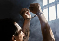 Елімізде 17 мың адамға рақымшылық жариялануы мүмкін