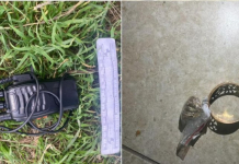 ​Шымкентте рациялармен әрекет еткен гастролер-ұрылар ұсталды