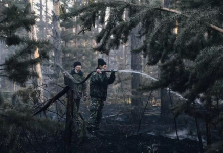 Семей орманындағы өрт: тексерушілердің көлігі құжатпен бірге қалай жанып кеткен