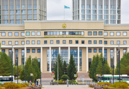 ​СІМ Грузияда Қазақстан азаматының ұсталғанын растады