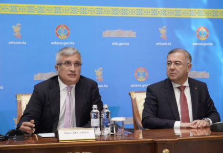 ТМҰ бақылаушылары: референдум ашық әрі заңға сай өтті