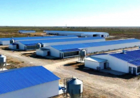 Қызылорда облысында жылына 3,5 мың тонна өнім өндіретін құс фабрикасы іске қосылады