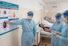 ​Қырым-Конго геморрагиялық қызбасын алдын алу: кене шағудан қалай қорғанамыз?