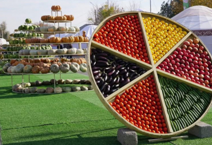 ТҮРКІСТАН: Ордабасыда «Алтын күз – 2025» мерекесі өтті