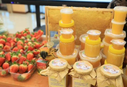 Кооперативтер мен жаңа өндіріс орындары: «Ауыл аманаты» бағдарламасының нәтижесі