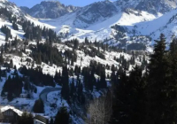 ​Алматы тауларында 5 жасөспірім адасып кеткен