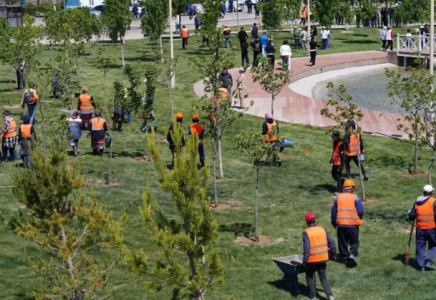 «ТАЗА ҚАЗАҚСТАН»: Түркістан өңірінде 400 мың түптен аса ағаш көшеті егілді