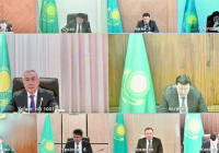 Жоғары маржиналды дақылдардың егістік алқаптарын ұлғайту стратегиясы 2026 жылы да жалғасады