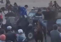 Қызылорда облысында көкпарда автокөлік аттарды қағып кетті (ВИДЕО)