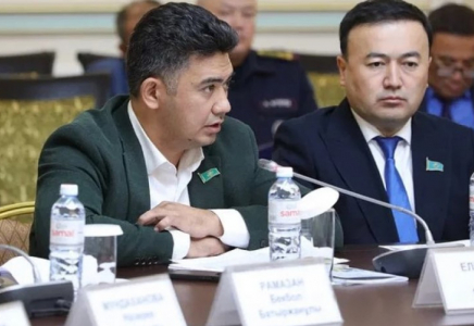 Байқамай боқтап жіберген депутат 80 мың айыппұл арқалады