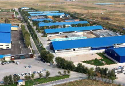 ТҮРКІСТАН: Экспорт көлемін арттыру бағытындағы жобалар пысықталды