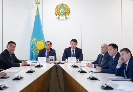 СЫБАЙЛАС ЖЕМҚОРЛЫҚ: Дархан Сатыбалды жауаптыларға нақты тапсырмалар жүктеді