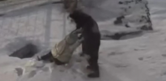 Астаналық мұғалім шұңқырға түсіп кеткен оқушыны құтқарып қалды