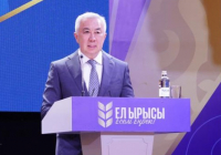 Биыл мал шаруашылығын қолдауға 300 млрд теңге бөлінеді