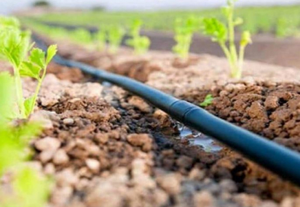 ТҮРКІСТАН: Ордабасыда су үнемдеу технологиялары енгізіліп жатыр