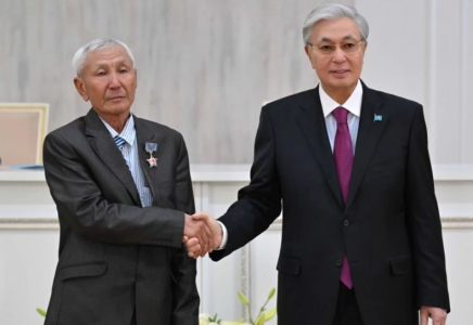 Жамбылдық аула тазалаушы 