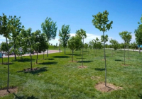 ТҮРКІСТАН: «Таза Қазақстан» бағдарламасы аясындағы жұмыстардың ауқымы кеңейеді