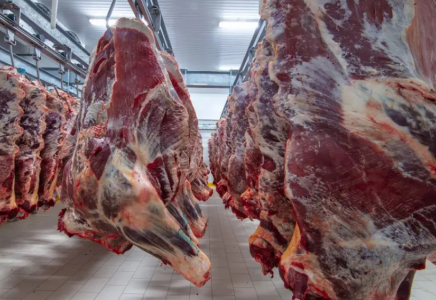 Қазақстанда сиыр еті бойынша сенім телефоны ашылды