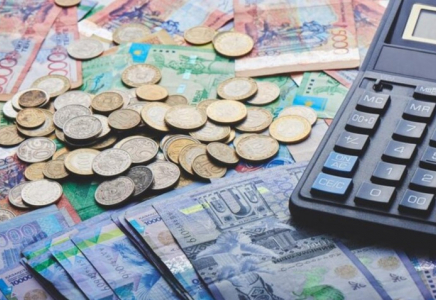 208 мыңнан астам қазақстандық арнайы мемлекеттік жәрдемақы алады