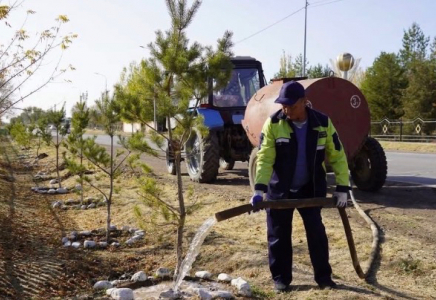 «ТАЗА ҚАЗАҚСТАН»: Түркістан облысында «Таза қала» және «Таза ауыл» акциялары өтті