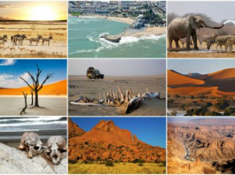 АФРИКА САПАРЫ: «Күн құрсағындағы құрлыққа» ғашық қылатын 4 ел