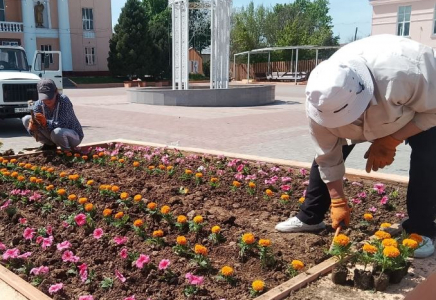 «ЖАСЫЛ АЙМАҚ»: Төлебиде аулаларды абаттандыру жұмыстары жүріп жатыр