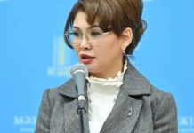 ​Конституция определяет общие ценности и ответственность общества — Аида Балаева