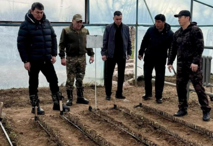 Түркістан облысы көшет өндіру мен ағаш отырғызу бойынша көш бастап тұр