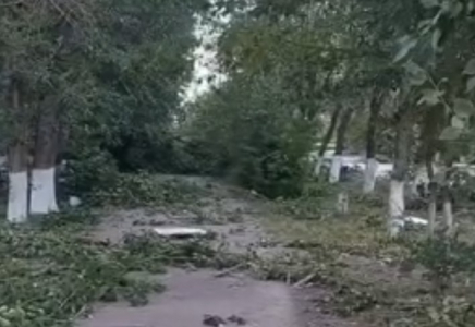 Павлодарда қатты желден 9 адам зардап шекті 