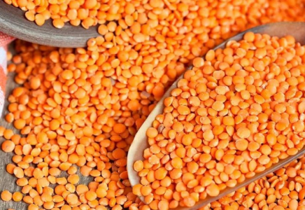 Қазақстан жасымық экспорты бойынша әлемдік нарықта алдыңғы қатарға шықты