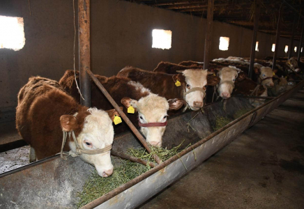 Биыл 14 мың ауыл тұрғыны өз бизнесін бастауға мүмкіндік алады
