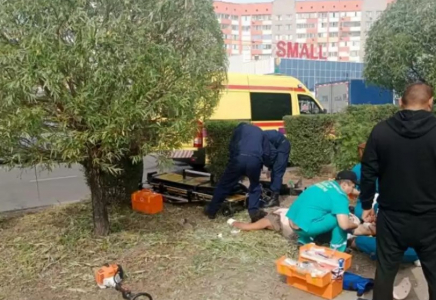 Павлодарда ағаш кесіп жатқан үш адамды ток соқты