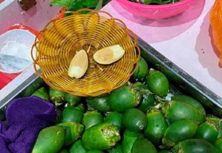 Тәуелділік пен обыр қаупі бар: Ресейде оқушылар арасында қауіпті жаңғақ трендке айналды