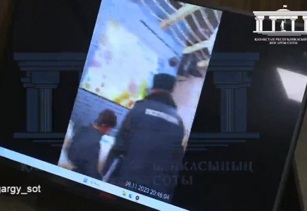 Бишімбаевты ұстаған полицейге қатысты қызметтік тексеру жүргізіледі
