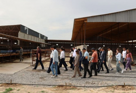Түркістан облысындағы шағын өндірістік парк құру тәжірибесі өзге өңірлерде қолданылады