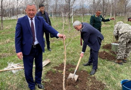 ТҮРКІСТАН: Түлкібаста «Парктер шеруі» акциясы өтті