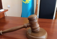 Қыз алып қашу арқылы пранк жасаған блогерлер жауапқа тартылды