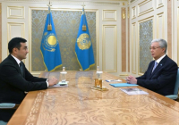 Мемлекет басшысы «Бәйтерек» ұлттық инвестициялық холдингінің басқарма төрағасын қабылдады