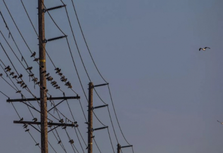Электр сымындағы мұзды жалаң қолмен тазартқан полицейлердің әрекеті көпті сүйсінтті
