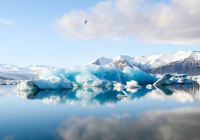 ​Былтыр әлемдегі мұздықтарда 408 гигатонна мұз еріді