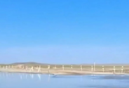 Алматыда мектеп оқушысы мысықты аяусыз қорлаған