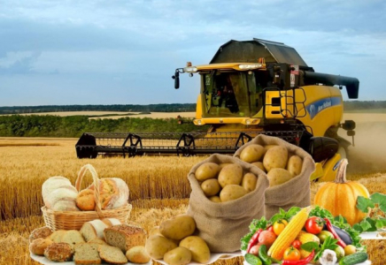 Биыл Алматы облысында ауыл шаруашылығының жалпы өнім көлемі 750 млрд теңгеден аспақ