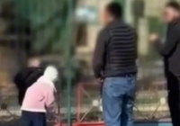 Семейде ересектер балалардың көзінше арыстандардың торына тас лақтырған