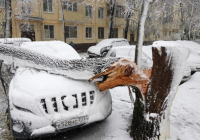 ​Мәскеуге кейінгі 150 жылда болмаған қалың қар жауды