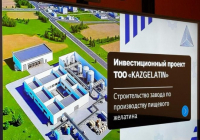 Қазақстанда жылына 10 мың тонна қуаттылықтағы тағамдық желатин өндіру зауыты салынады