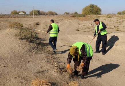 ​Сауранда 500 адам қатысқан «Таза Қазақстан» эко-акциясы өтті