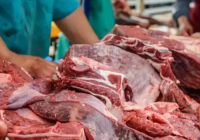 ​Ресейде пастереллездің таралуы: Қазақстан бақылауды шараларын күшейтті