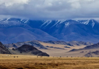 Жаңа Конституцияда "Ұлы дала" ұғымы пайда болмақ