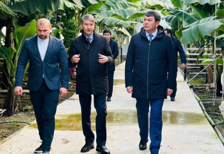 ТҮРКІСТАН: Сайрам ауданында ауқымды жобалар жүзеге асырылып жатыр