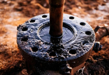 Грузияда үш қазақстандық мұнайға қатысты алаяқтық жасады деген күдікпен ұсталды